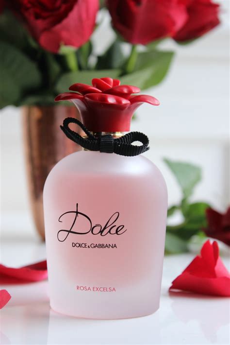 perfume dolce gabbana dolce rosa|dolce and gabbana the rose.